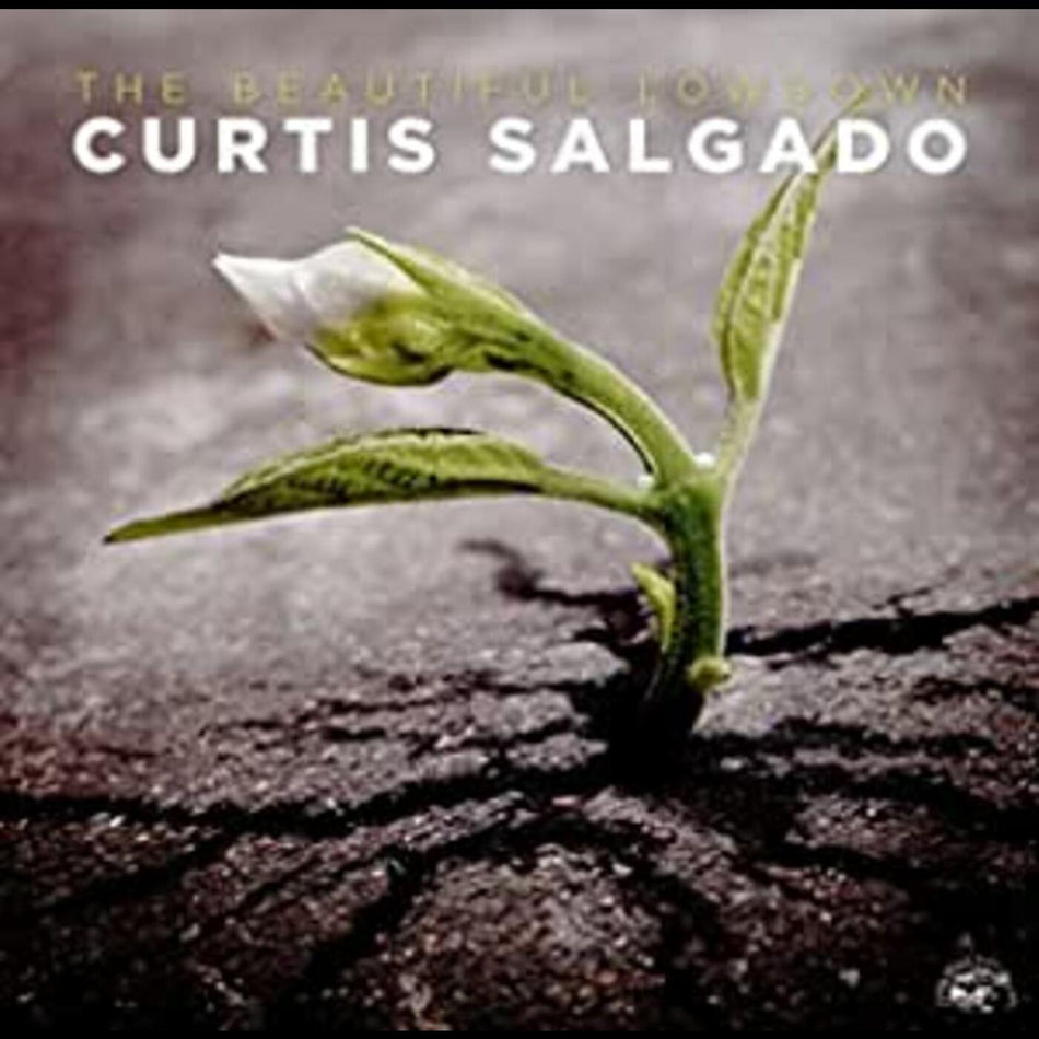 Curtis Salgado Beautiful Lowdown