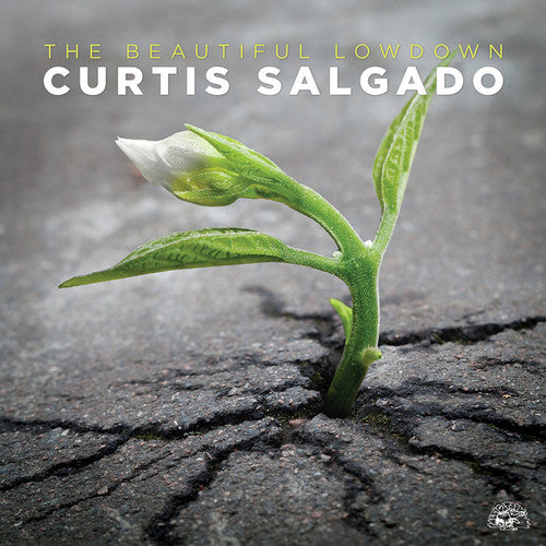 Curtis Salgado The Beautiful Lowdown - CD Album