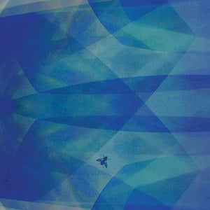 Cyro Baptista Bluefly