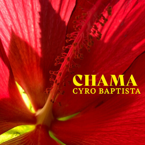 Cyro Baptista Chama - CD Album