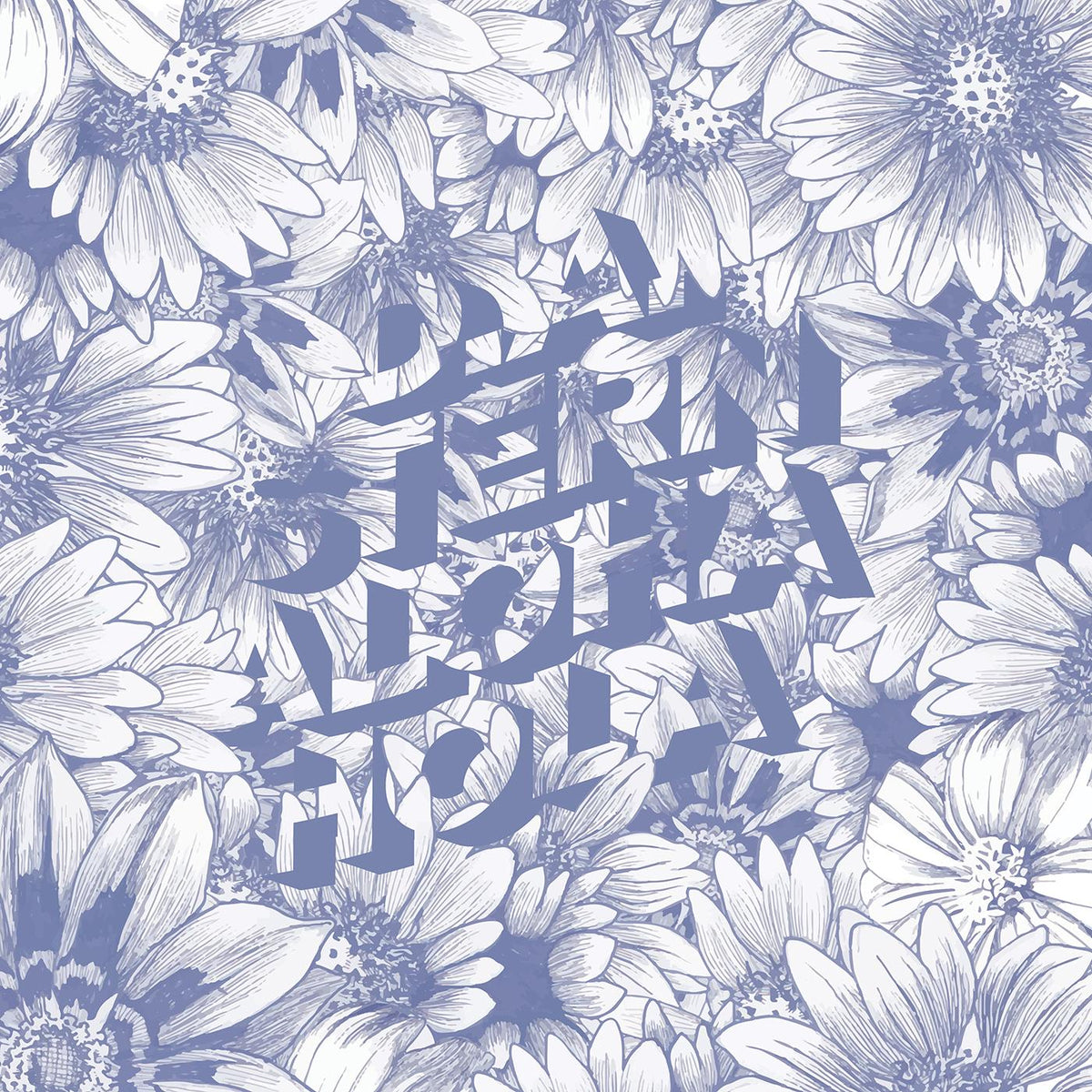 D.A. Stern Aloha Hola