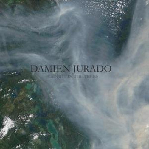 Damien Jurado Caught in the Trees - Record Album - Vinyl LP