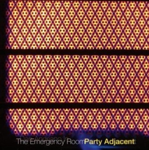 Dan Andriano in the Emergency Room Party Adjacent - Record Album - Vinyl LP