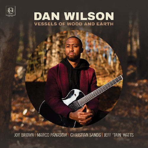 Dan Wilson Vessels Of Wood And Earth - CD Album