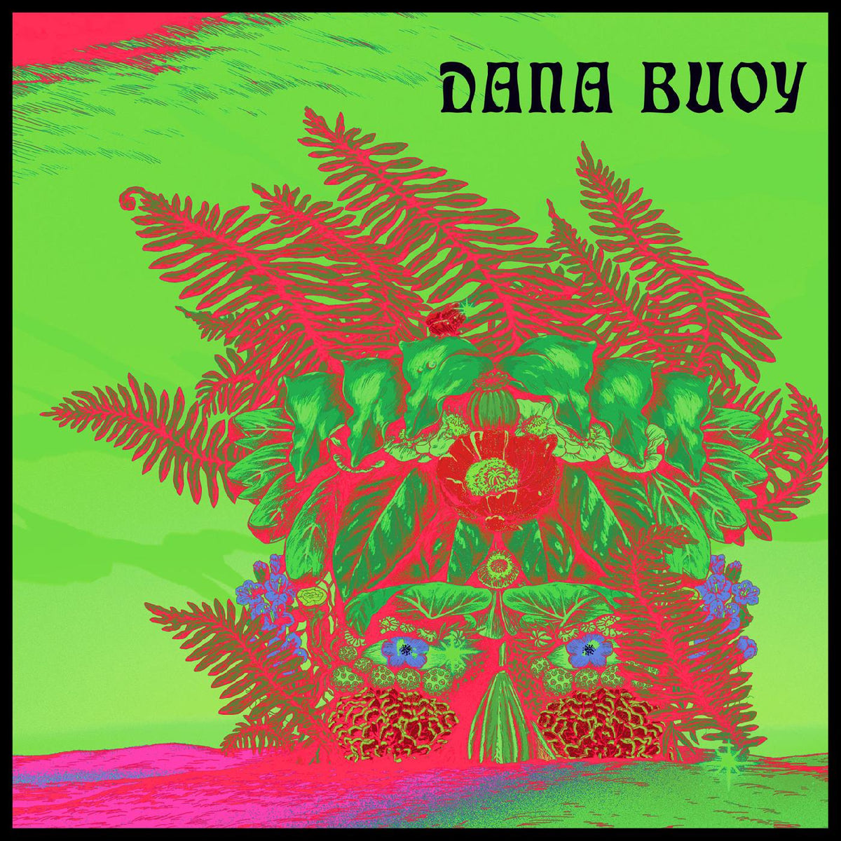 Dana Buoy Experiments In Plant Based Music Vol 1