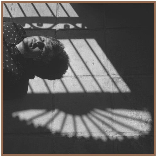 Dani Llamas La Verdad - Record Album - Vinyl LP