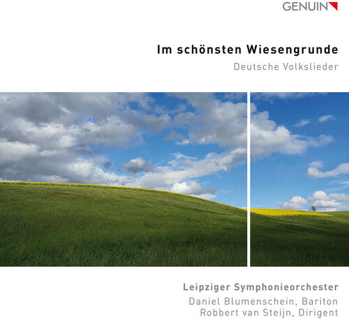 Daniel Blumenschein Im Schonsten Wiesengrunde - CD Album