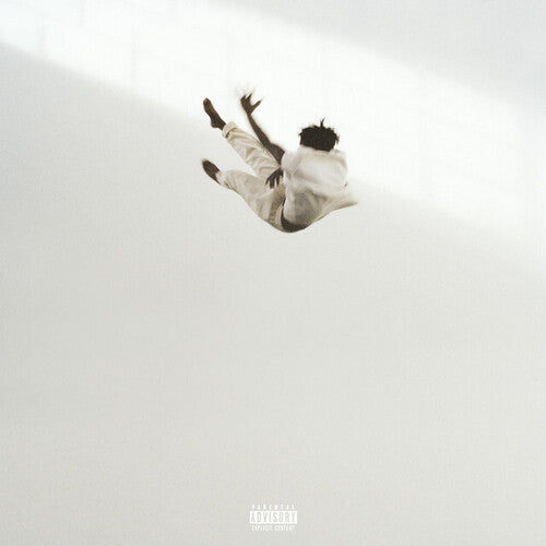 Daniel Caesar Pilgrim's Paradise - Record Album - Vinyl LP