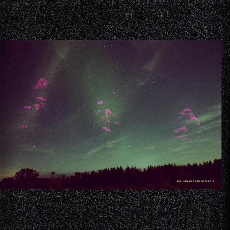 Daniel Norgren Skogens Frukter