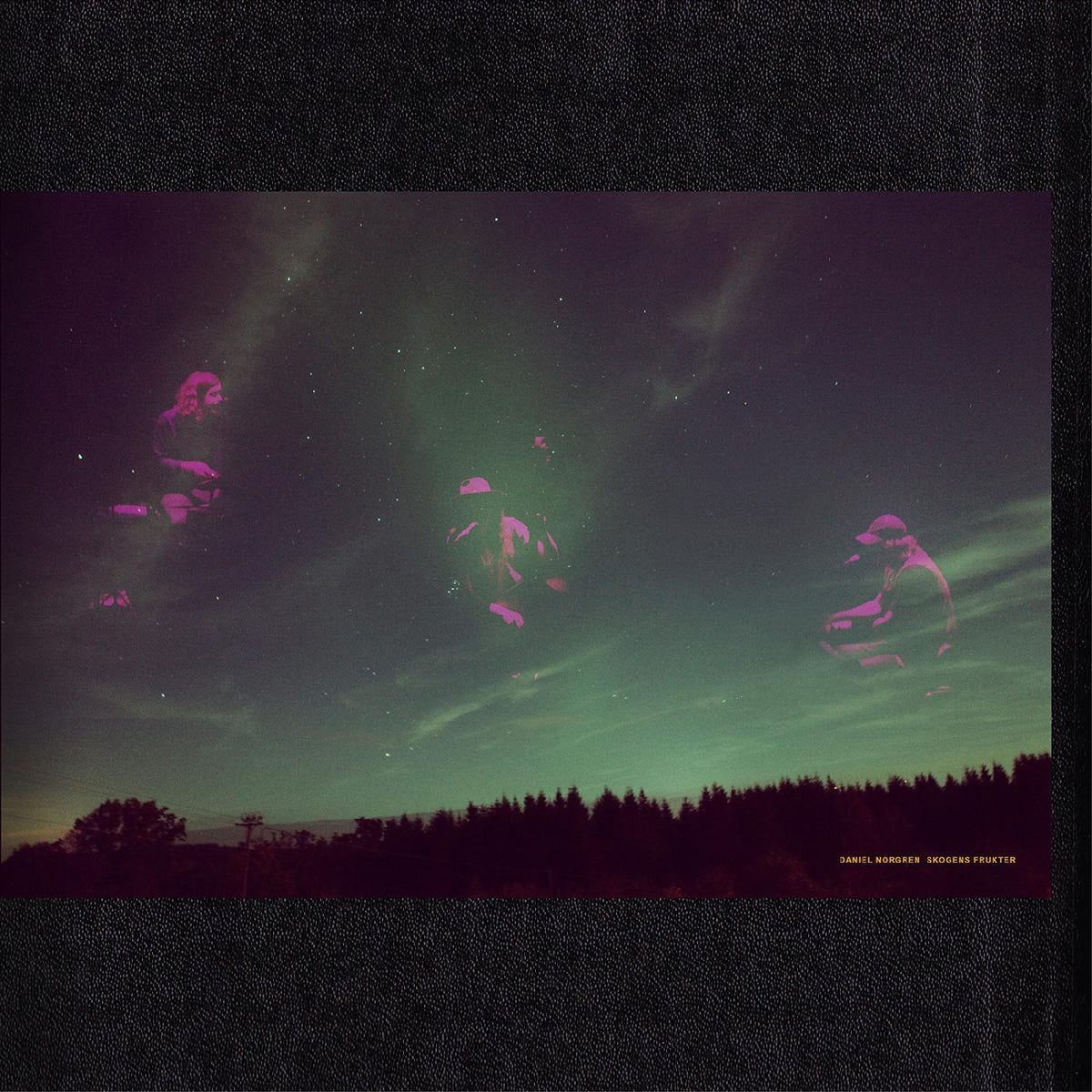 Daniel Norgren Skogens Frukter