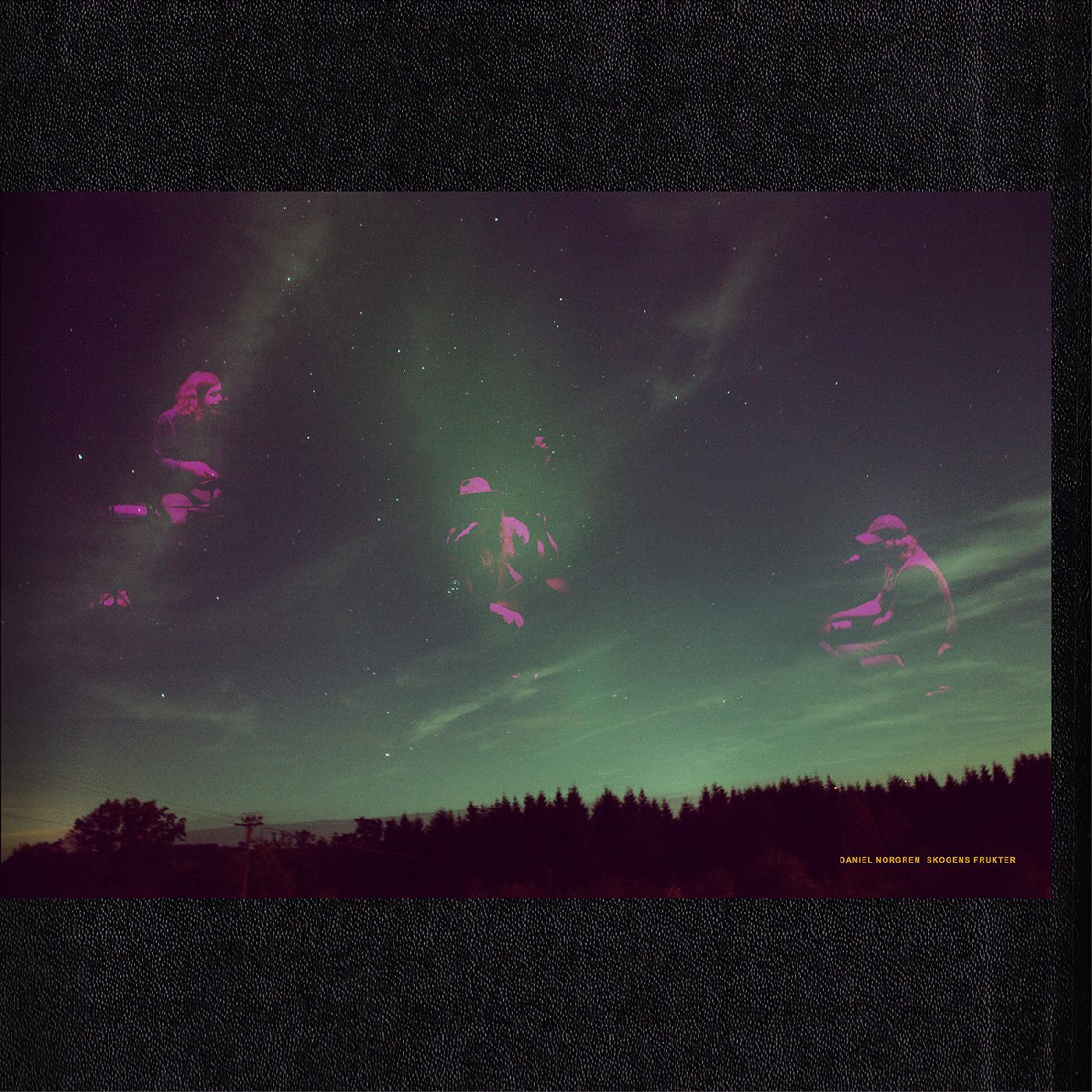 Daniel Norgren Skogens Frukter