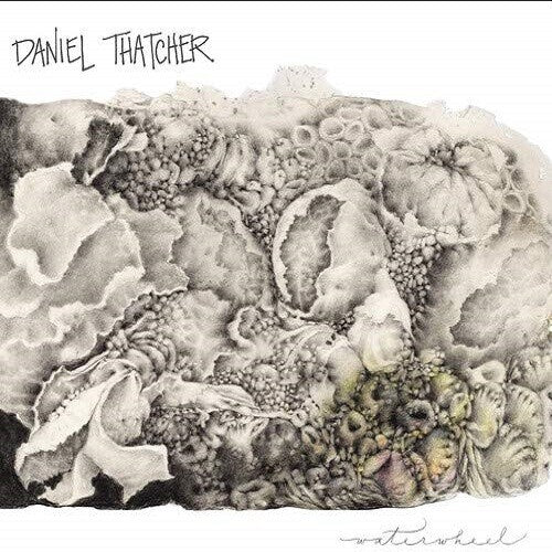 Daniel Thatcher Waterwheel - CD Album