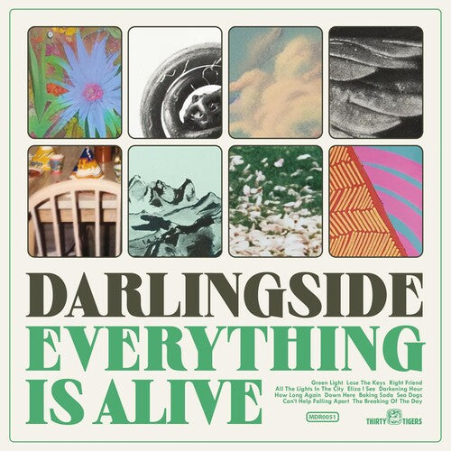 Darlingside Everything Is Alive - Record Album - Vinyl LP