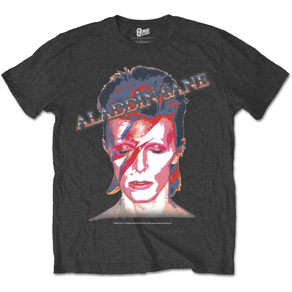 David Bowie Aladdin Sane Black