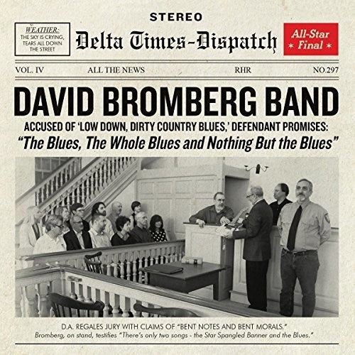 David Bromberg Blues The Whole Blues And Nothing But - Record Album - Vinyl LP