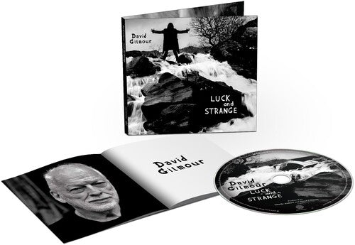 David Gilmour Luck and Strange