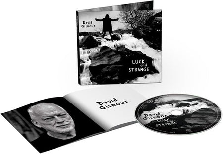 David Gilmour Luck and Strange