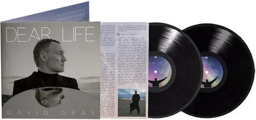 David Gray Dear Life - Record Album - Vinyl LP