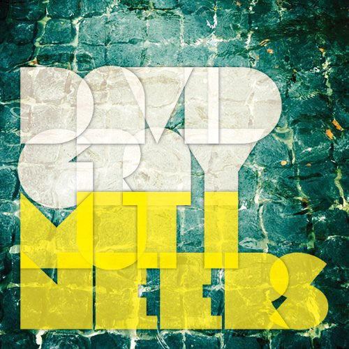 David Gray Mutineers - Double Record Album - Vinyl LP