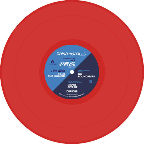 David Morales Rise Album Sampler - Record Album - Vinyl LP