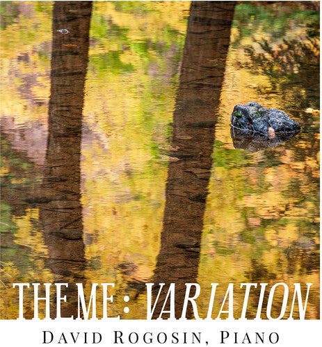 David Rogosin Theme - Variation - CD Album