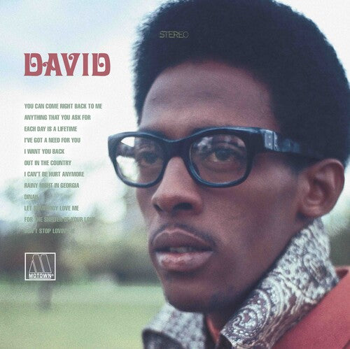 David Ruffin David - Double Record Album - Vinyl LP