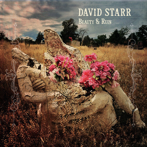 David Starr Beauty & Ruin - Record Album - Vinyl LP