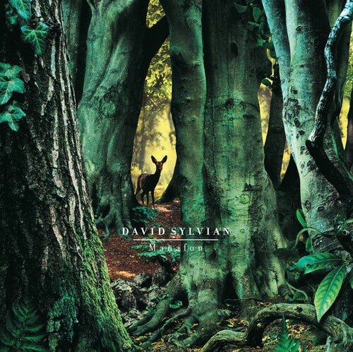 David Sylvian Manafon - Double Record Album - Vinyl LP