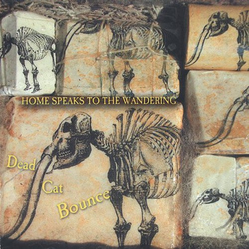 Dead Cat Bounce Home Speaks to the Wandering - CD Album