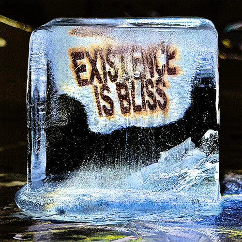 Deadletter Existence Is Bliss - Record Album - Vinyl LP
