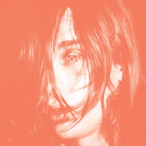 Deerhunter Microcastle - Record Album - Vinyl LP