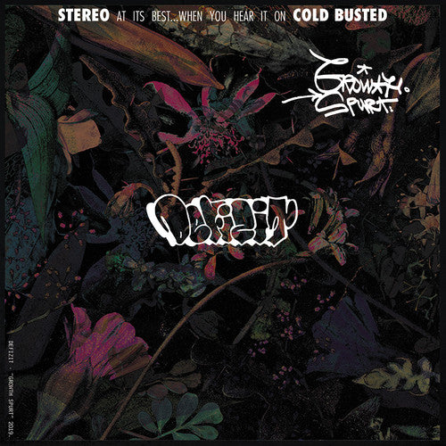 Defizit Growth Spurt - Record Album - Vinyl LP