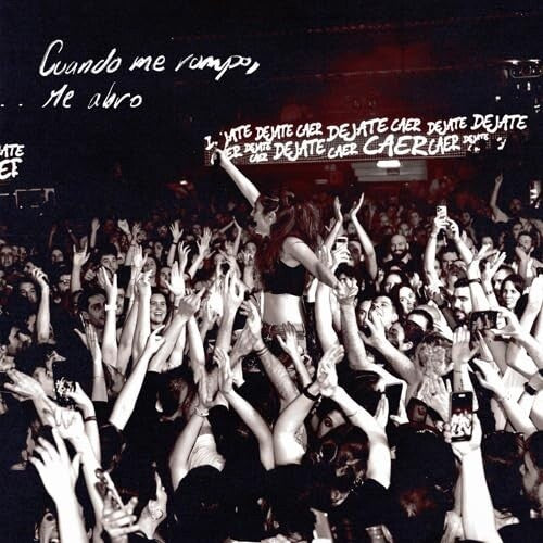 Delaporte Dejate Caer Remixes - Record Album - Vinyl LP