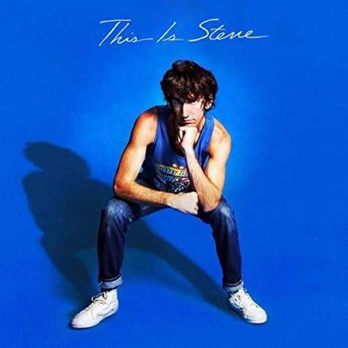 Delicate Steve This Is Steve - Record Album - Vinyl LP
