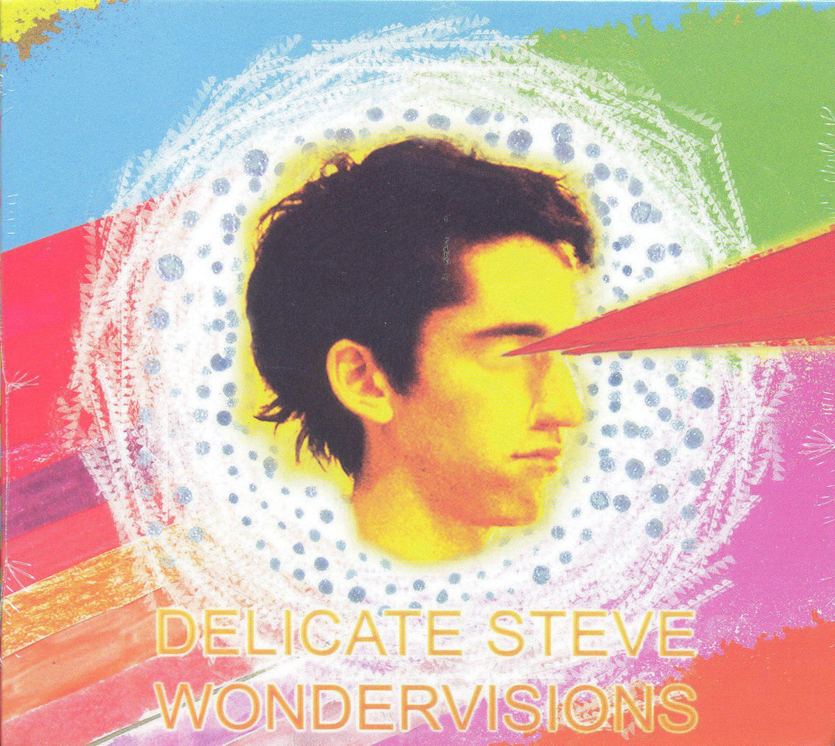 Delicate Steve Wondervisions