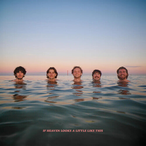 Delights If Heaven Looks A Little Like This - Record Album - Vinyl LP