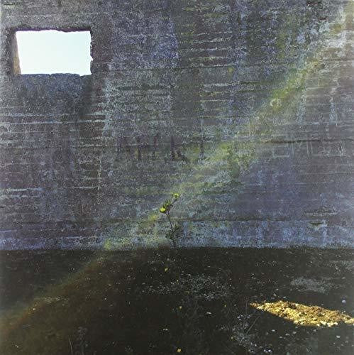 Desperate Journalist In Search Of The Miraculous - Record Album - Vinyl LP