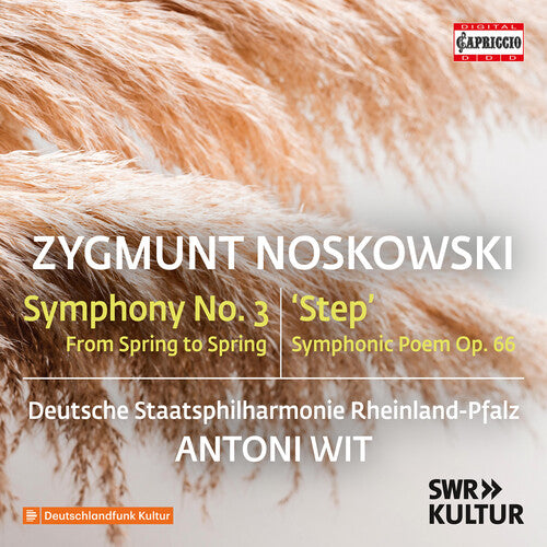 Deutsche Staatsphilharmonie Rheinland-Pfalz Zygmunt Noskowski: Symphony No. 3 - CD Album