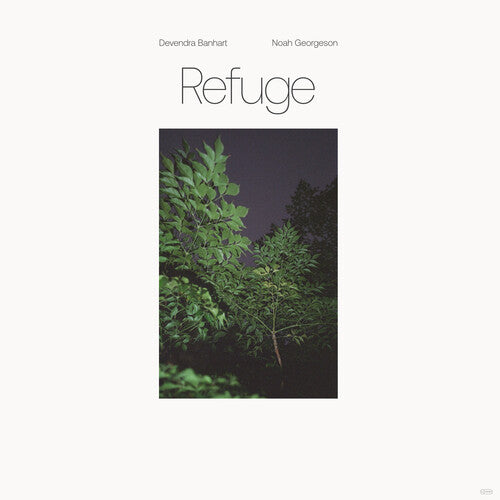 Devendra Banhart Refuge (Blue Seaglass Wave Translucent Vinyl) - Double Record Album - Vinyl LP