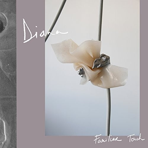DIANA Familiar Touch - Record Album - Vinyl LP