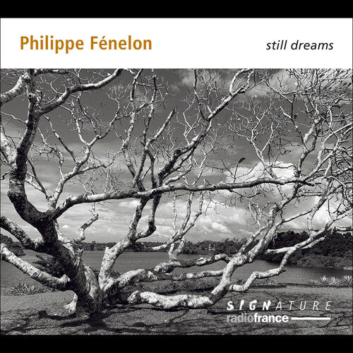 Didier Benetti Fenelon: Still Dreams - 2-Disc CD Album