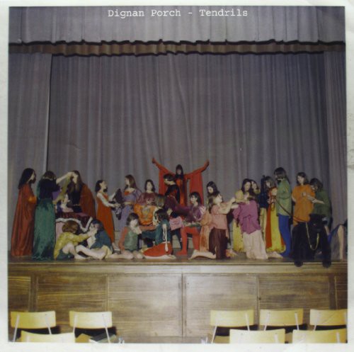 Dignan Porch Tendrils - Record Album - Vinyl LP