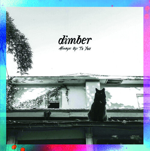 Dimber Always Up To You - Record Album - Vinyl LP
