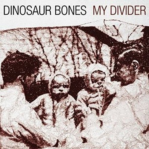 Dinosaur Bones My Divider (LP) - Record Album - Vinyl LP