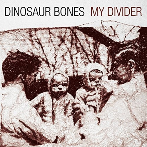 Dinosaur Bones My Divider - Record Album - Vinyl LP