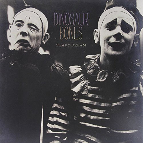 Dinosaur Bones Shaky Dream - Record Album - Vinyl LP
