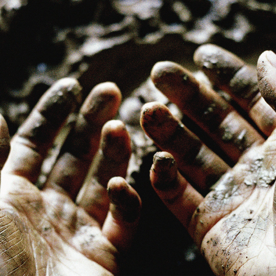 Dis Fig What To Make Of These Mortal Hands
