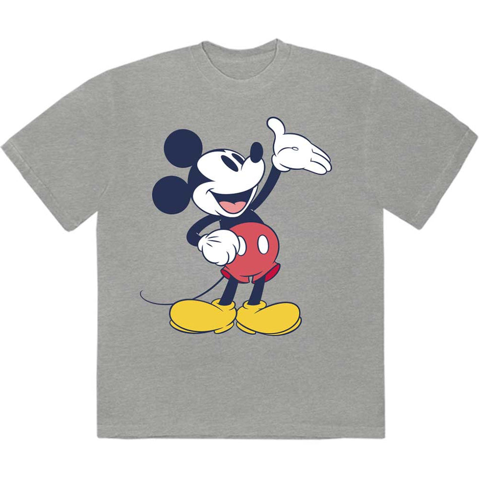 Disney Mickey Mouse Reveal Grey