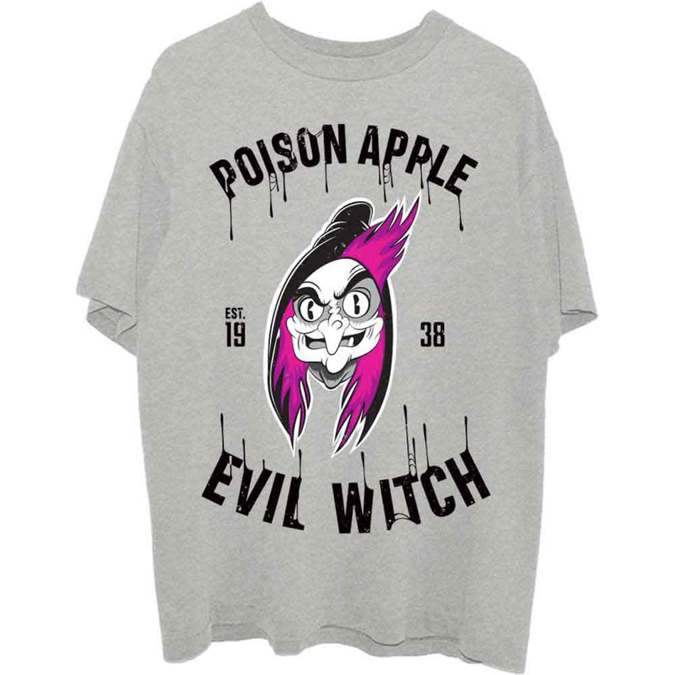 Disney Snow White Evil Witch Poison Apple Grey