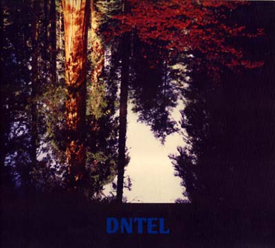 DNTEL Aimlessness